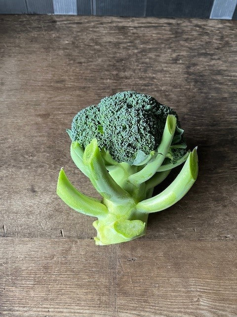 関根さんのブロッコリー〈こんにちは〉 ※お一人様1点/週まで