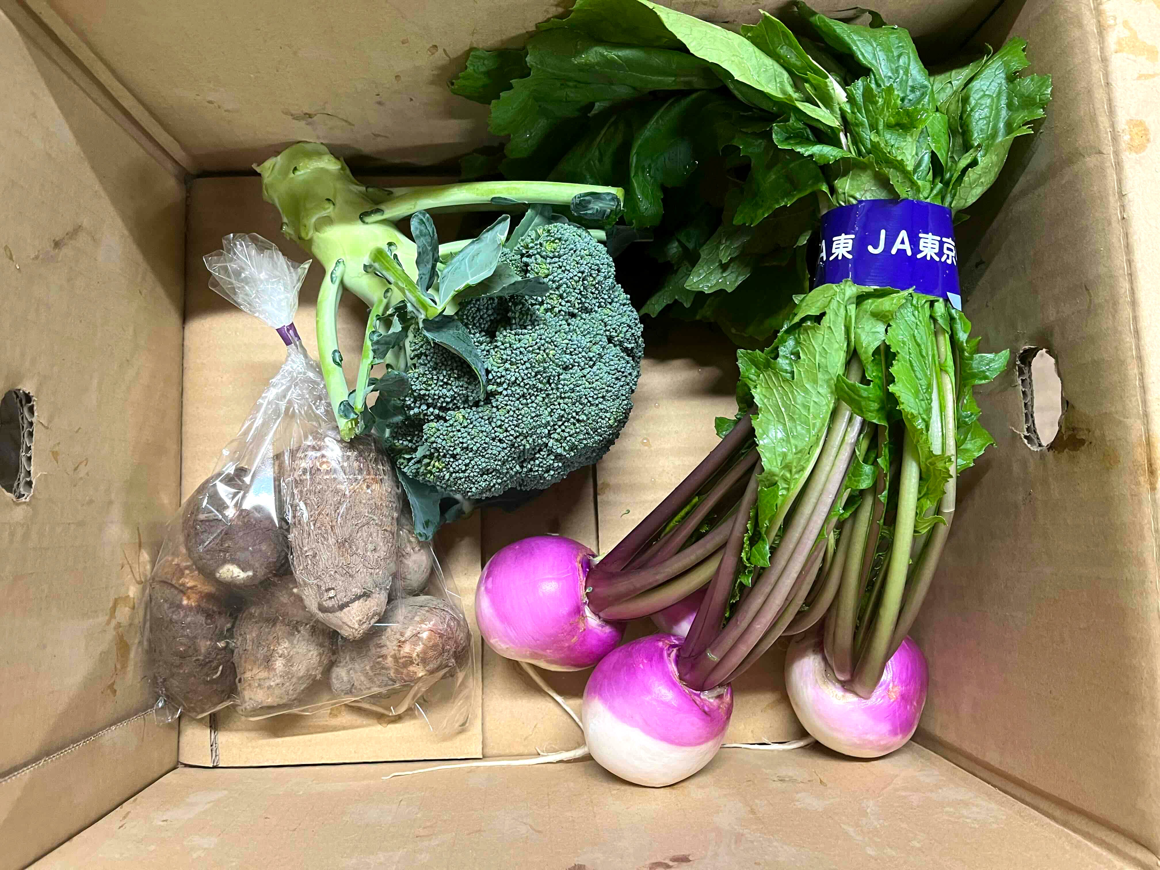 海老沢農園 冬野菜おすすめセット(3種類)※お一人様1セット/週