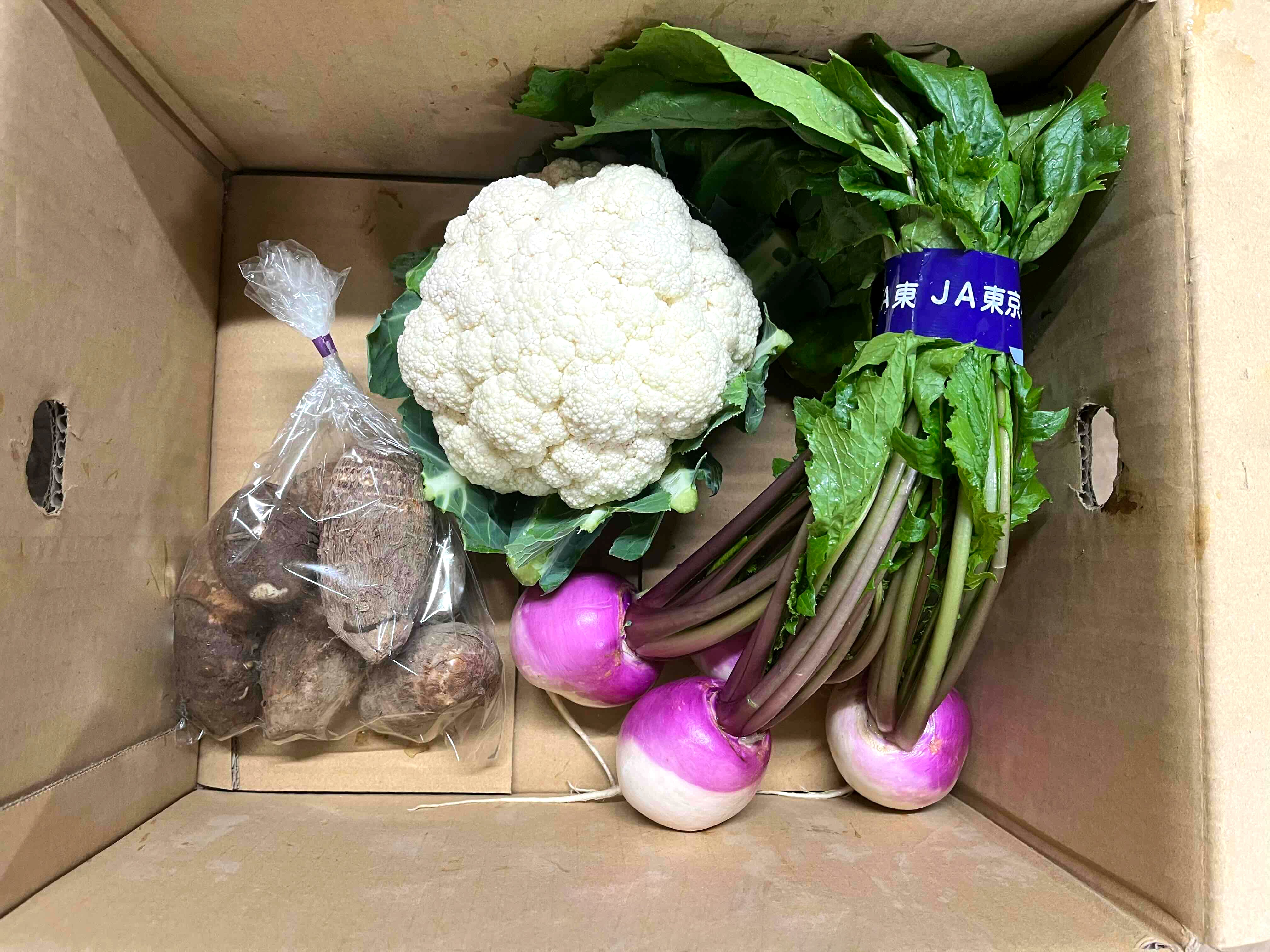 海老沢農園 冬野菜おすすめセット(3種類)※お一人様1セット/週